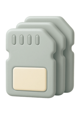 Memory Card