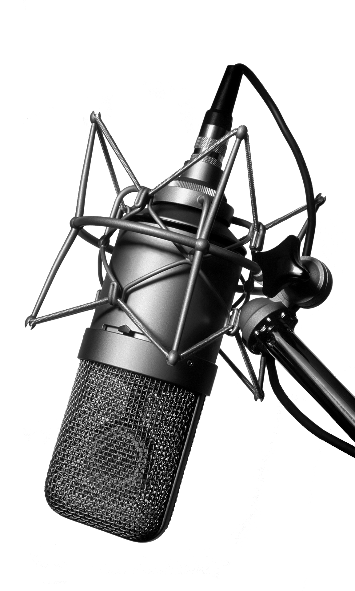 Microphone